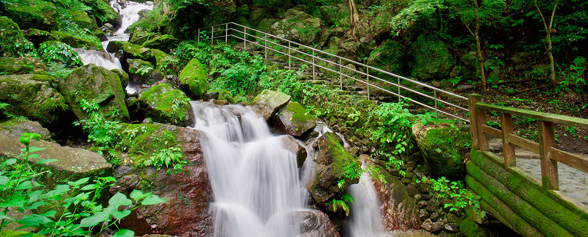 Yoro park walking course