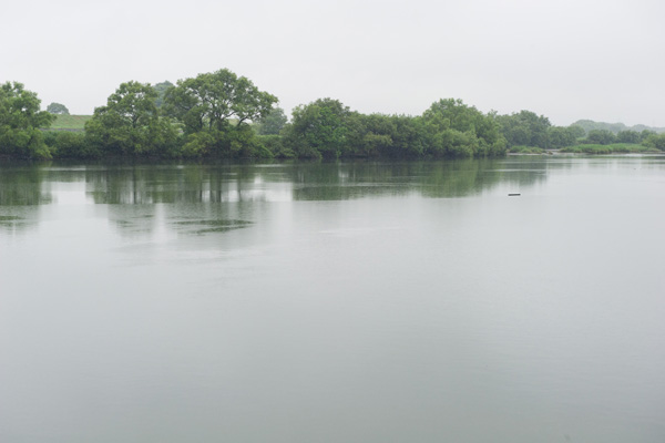 揖斐川の風景 の画像