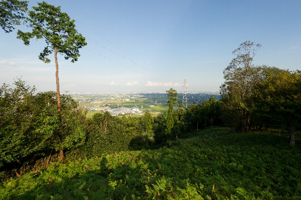 象鼻山からの風景 の画像