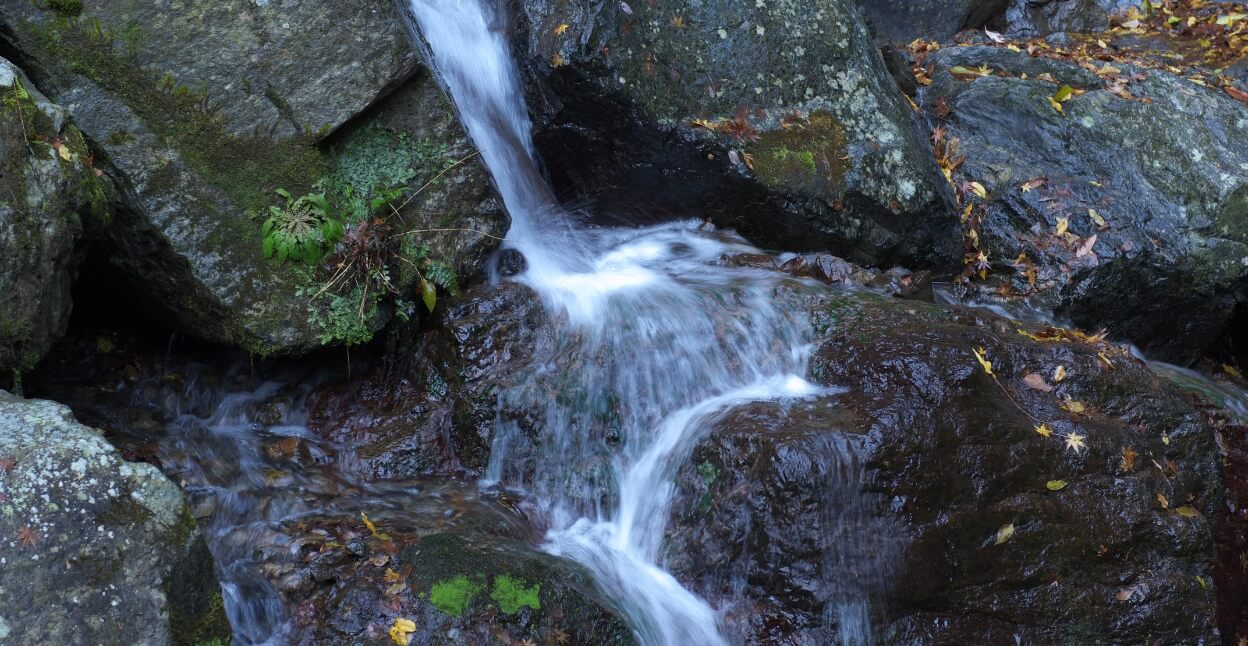 yoro The Legend of Koshi2