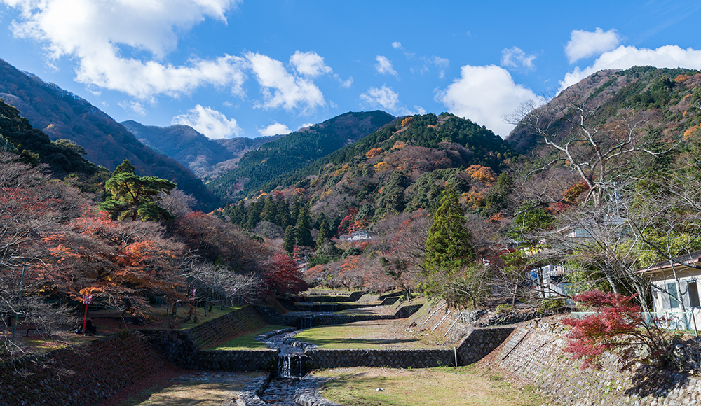 養老公園のイメージ