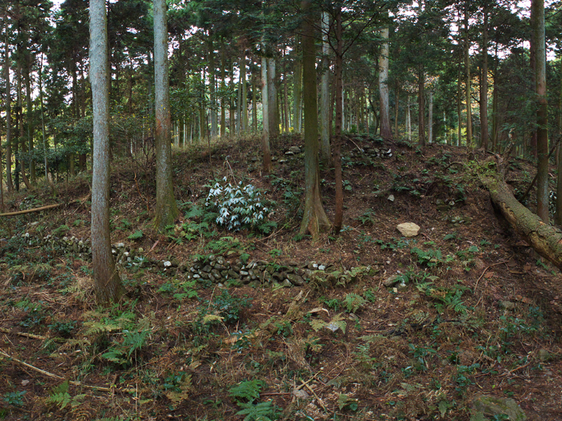 大威徳山竜泉寺跡の画像