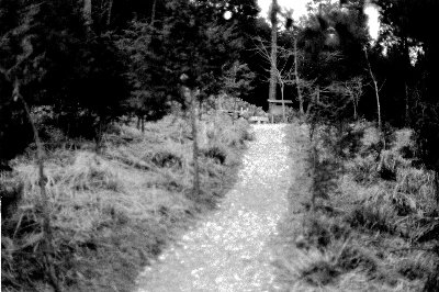 kashiwaohaijisentaibutu oldphoto.jpg