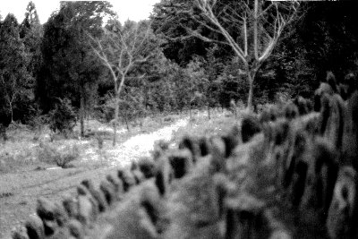 kashiwaohaijisentaibutu oldphoto2.jpg